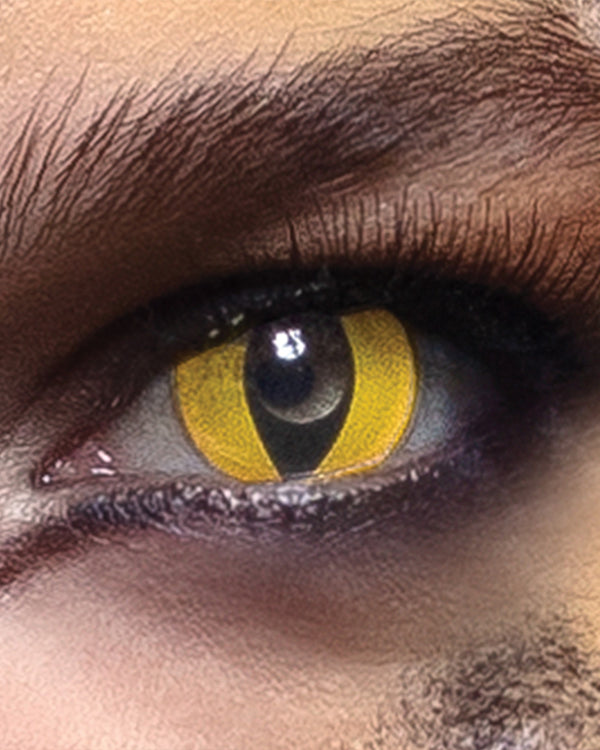 Wild Cat Contact Lenses - image 1