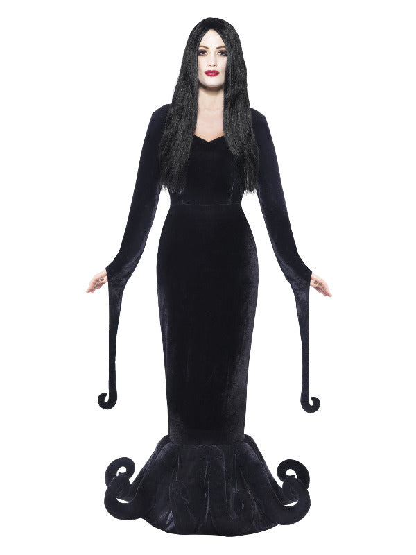 Duchess of the Manor Costume - image 1