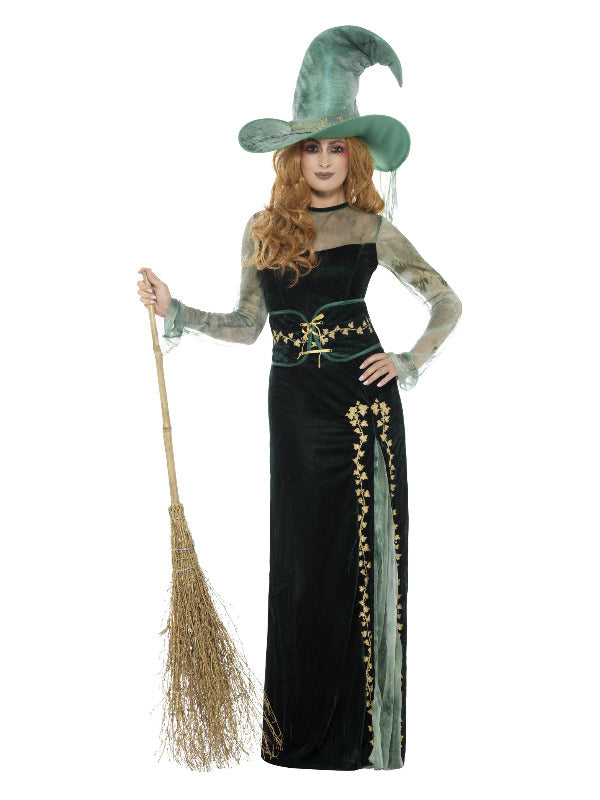 Deluxe Emerald Witch Costume - image 1