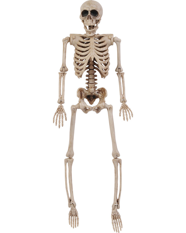 Skeleton 35cm - image 1