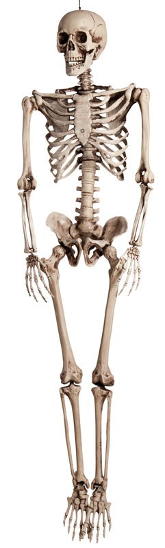 Skeleton Hanging Decoration