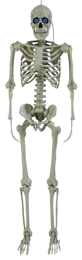 Injection Moulded Skeleton