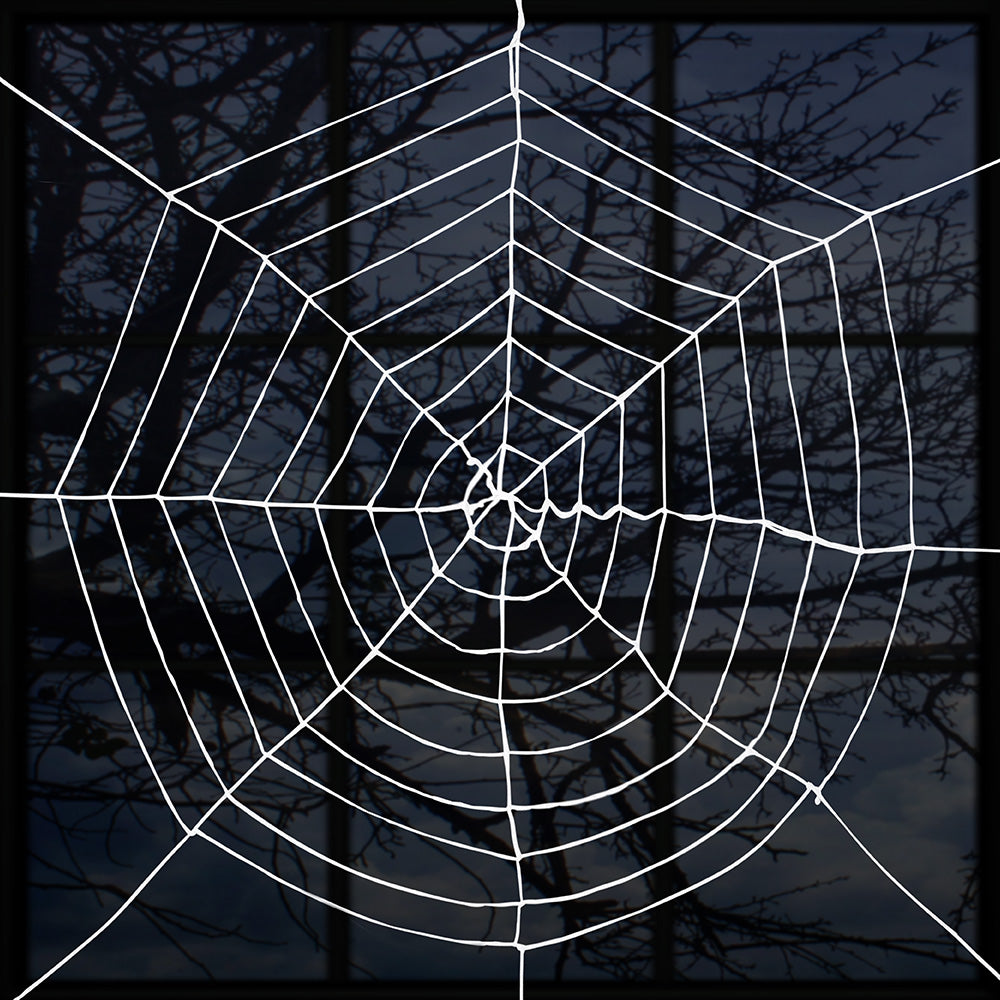 White Spiderweb - image 2