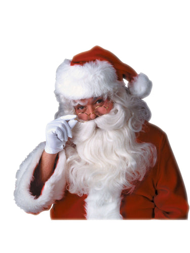 Deluxe Santa Beard and Wig Set