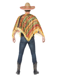 Poncho and Moustache - image 3