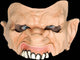 Fallout Chinless Mask