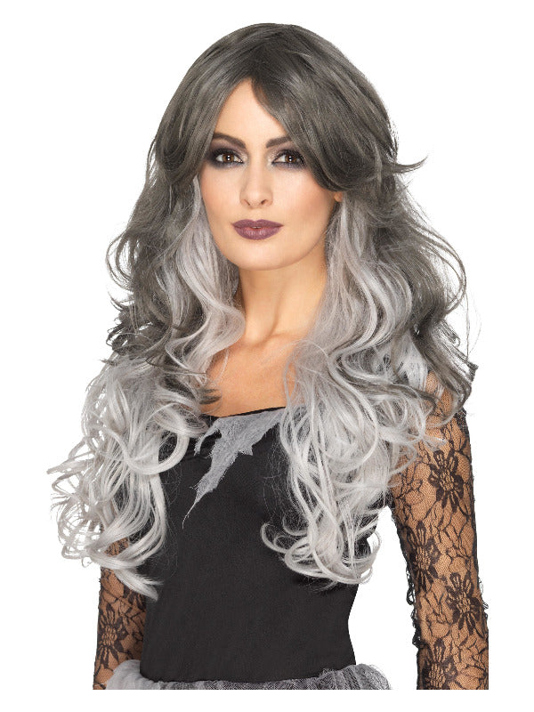 Deluxe Gothic Bride Wig, Grey - image 1