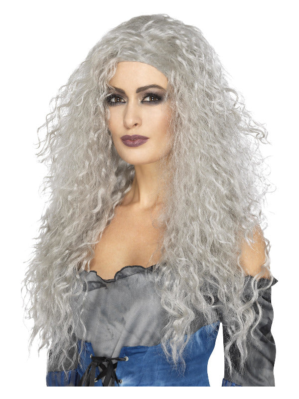 Grey Banshee Wig - image 1