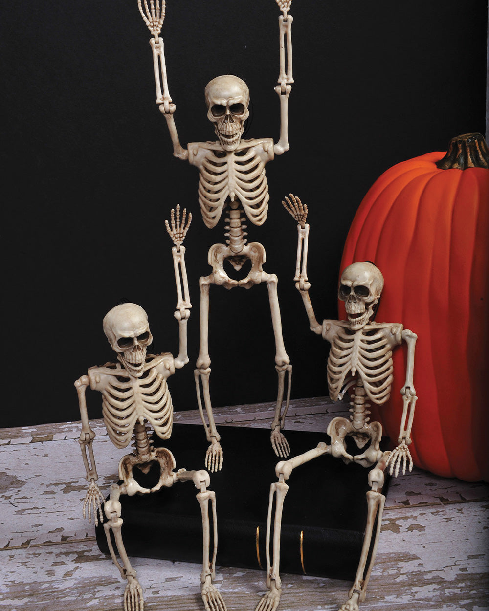 Skeleton 35cm - image 2