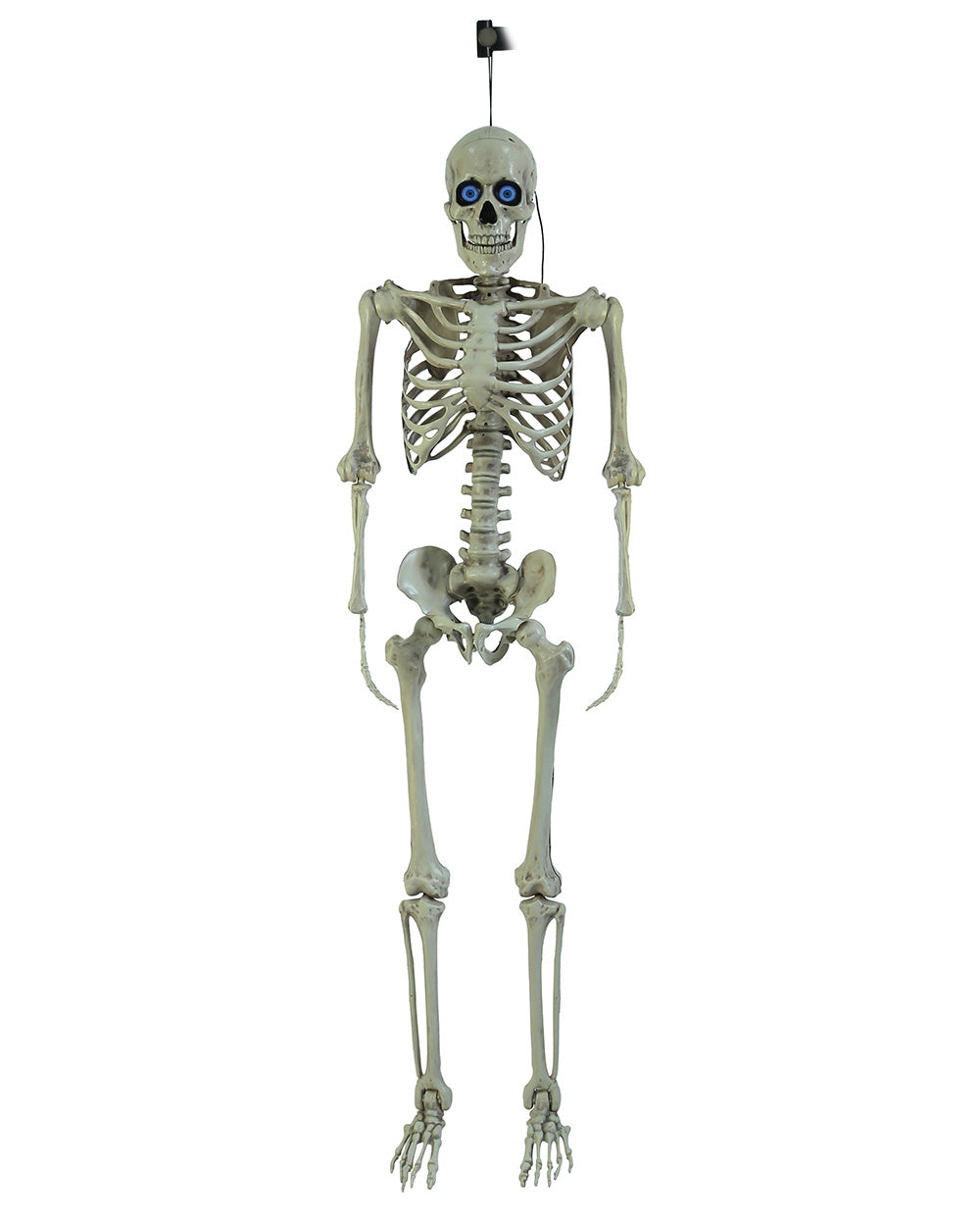 Injection Moulded Skeleton