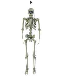 Injection Moulded Skeleton
