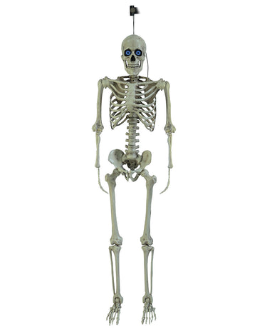 Injection Moulded Skeleton