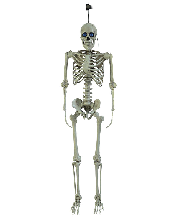 Injection Moulded Skeleton