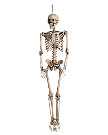 Skeleton Rubber