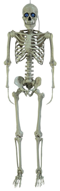 Injection Moulded Skeleton