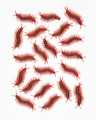 Bag o' Bugs Centipedes