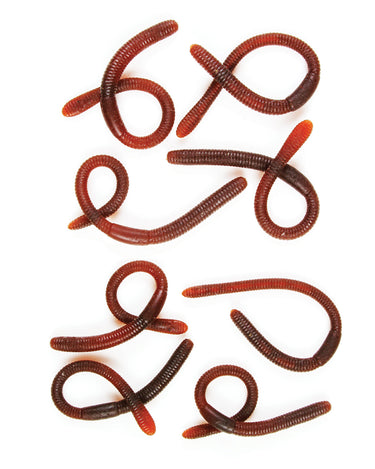 Bag o' Bugs Worms