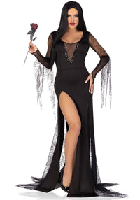 Sexy Spooky Morticia Dress Costume - image 2