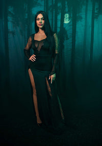 Sexy Spooky Morticia Dress Costume - image 5
