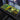 Biohazard Deskpad