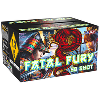 Fatal Fury - 58 Shot